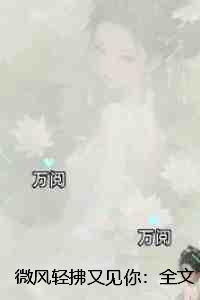 微风轻拂又见你:的小说