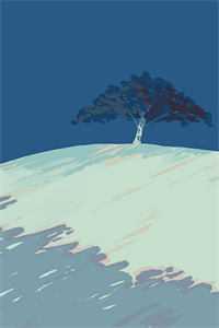 穿成恶毒反派后,我只想离婚保平安快手新书