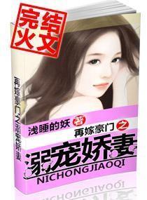 再嫁豪门之溺宠娇妻