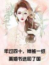 年过四十,她被一纸离婚书送回了国小说