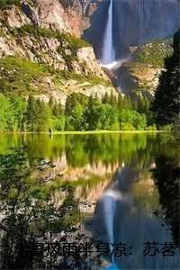 半身风雨半身凉:苏茗沈觞寒全文+结局+番外