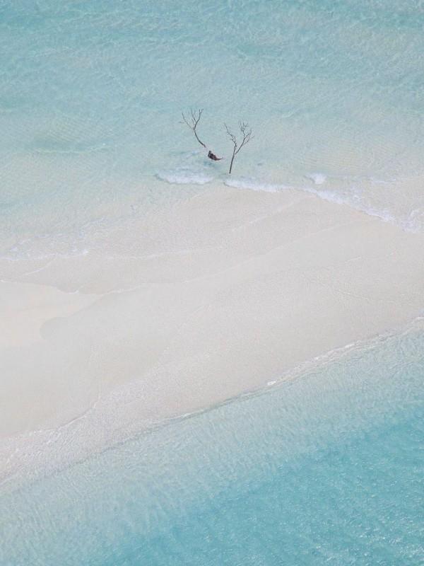 我爸支持羊某月,我和他互换享时代红利