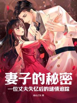 妻子的秘密:一位丈夫失忆后的谜情追踪