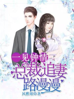 一见钟情:总裁追妻路漫漫