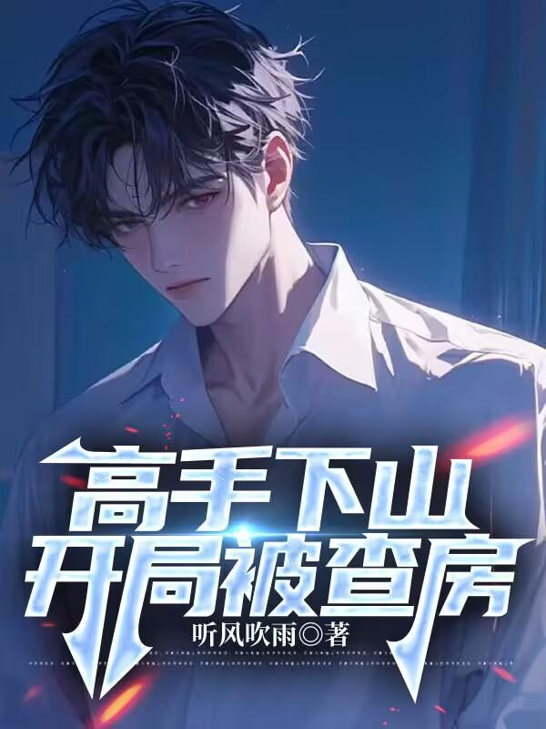 高手下山:开局被查房