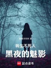 转生不死人，黑夜的魅影