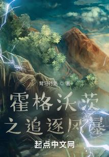 霍格沃茨之追逐风暴