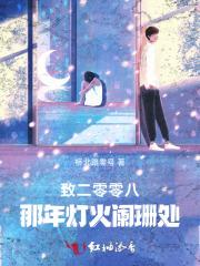 致二零零八,那年灯火阑珊处