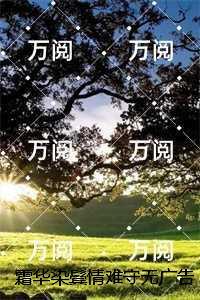 霜华染鬓情难守：必读文