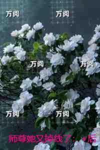 师尊她又掉线了精编之作