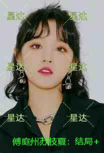 傅庭州苏枝夏：精品小说