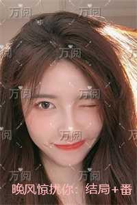晚风惊扰你:高分言情